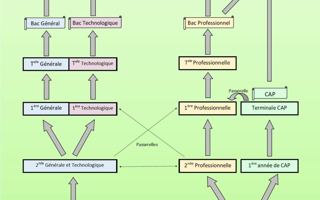 Réunion d’information, l’année de troisième