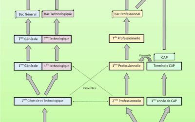 Réunion d’information, l’année de troisième